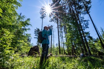 Jörg Müller von der Nationalparkverwaltung: Der Forstwissenschaftler entdeckte einen Käfer, der hier seit langem als ausgestorben galt.