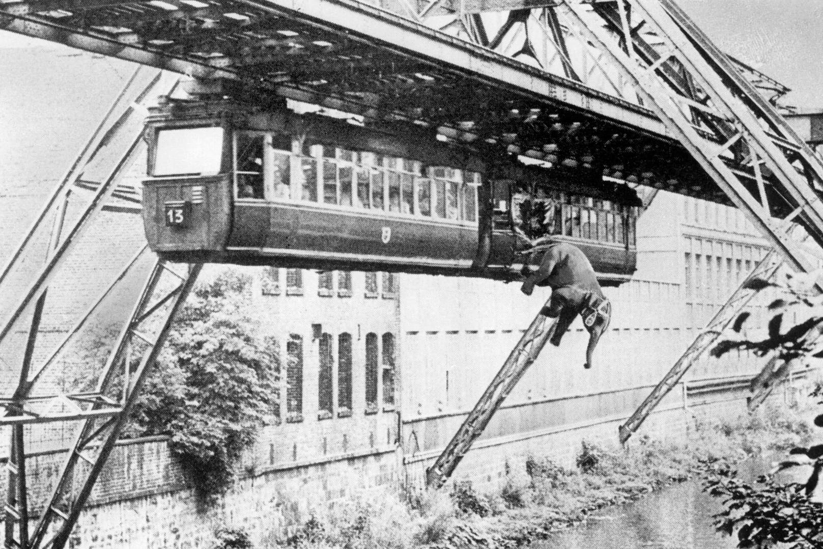 Ein Elefant stürzt aus einer Schwebebahn in Wuppertal: Von dem Sturz gibt es keine Fotos, sondern nur wie hier Fotomontagen.