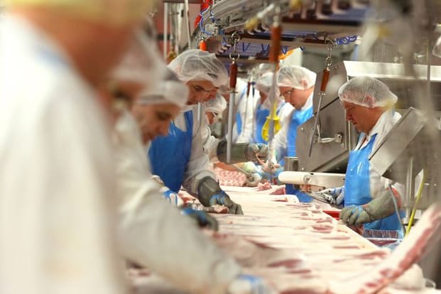 Mobbing und Sklaventreiberei: Die Arbeitsbedingungen bei Tönnies in Weißenfels führten dazu, dass ein Arbeiter dem Vorarbeiter in Messer in die Flanke rammte und dafür nur mild bestraft wurde. (Symbolfoto, Archiv)