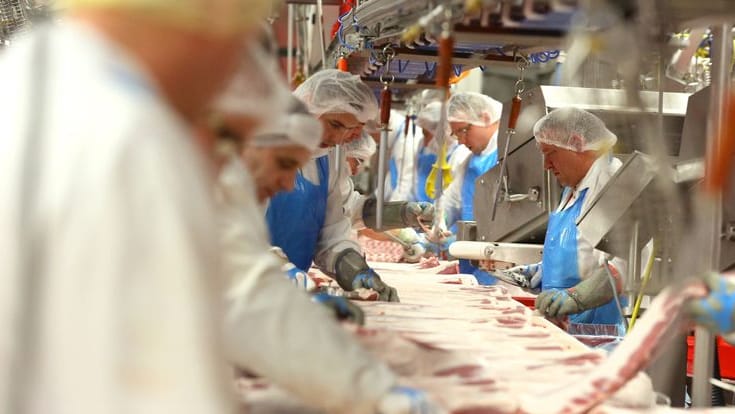 Mobbing und Sklaventreiberei: Die Arbeitsbedingungen bei Tönnies in Weißenfels führten dazu, dass ein Arbeiter dem Vorarbeiter in Messer in die Flanke rammte und dafür nur mild bestraft wurde. (Symbolfoto, Archiv)