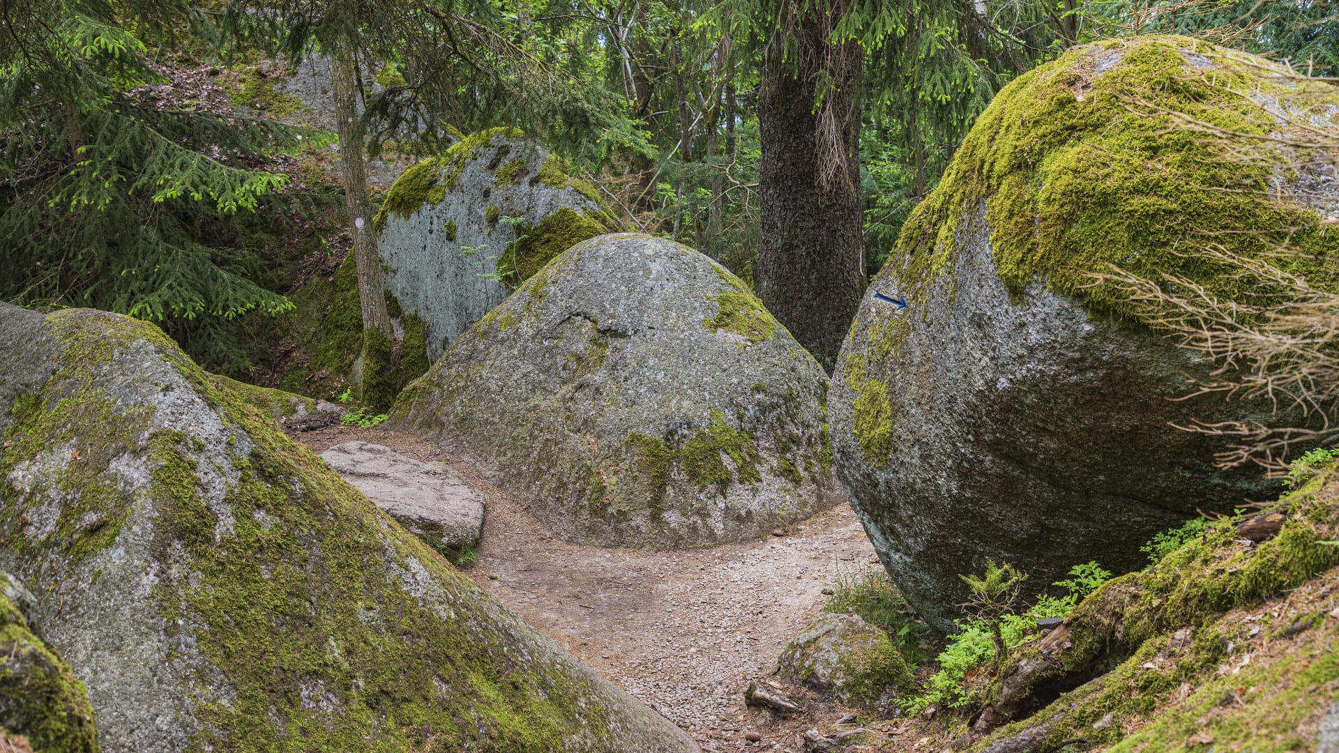 Felsenlabyrinth Luisenburg