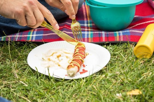 Schnell landet beim Grillen ein Stück Wurst oder Ketchup auf der Picknickdecke - die Flecken sollte man mit kaltem Wasser behandeln.