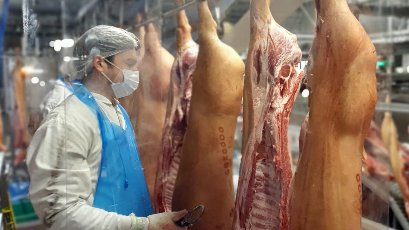 Ein Arbeiter in der Fleischzerlegung bei Tönnies: Forscher haben den Corona-Ausbruch in dem Unternehmen untersucht.