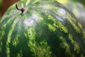 Wassermelone: Woran erkennt man eigentlich, wie reif sie ist?