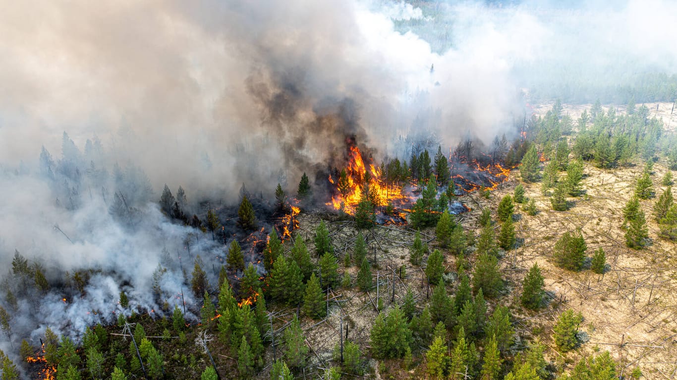 Waldbrände in Sibirien: Eine Hitzewelle sorgt am arktischen Zirkel für zahllose Feuer.