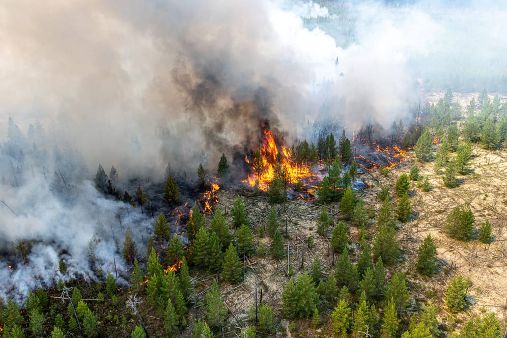 Waldbrände in Sibirien: Eine Hitzewelle sorgt am arktischen Zirkel für zahllose Feuer.