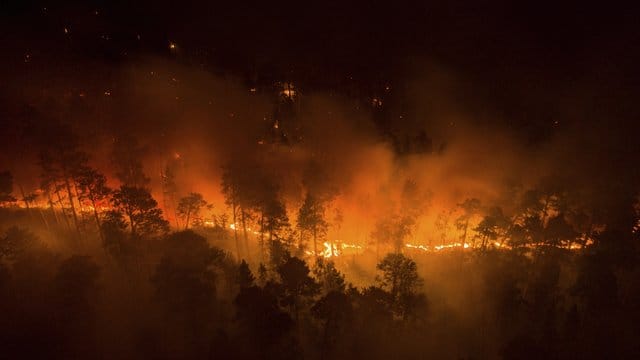 Waldbrand in Krasnojarsk in Sibirien: Im Juni lag die Temperatur zehn Grad über dem Durchschnitt.