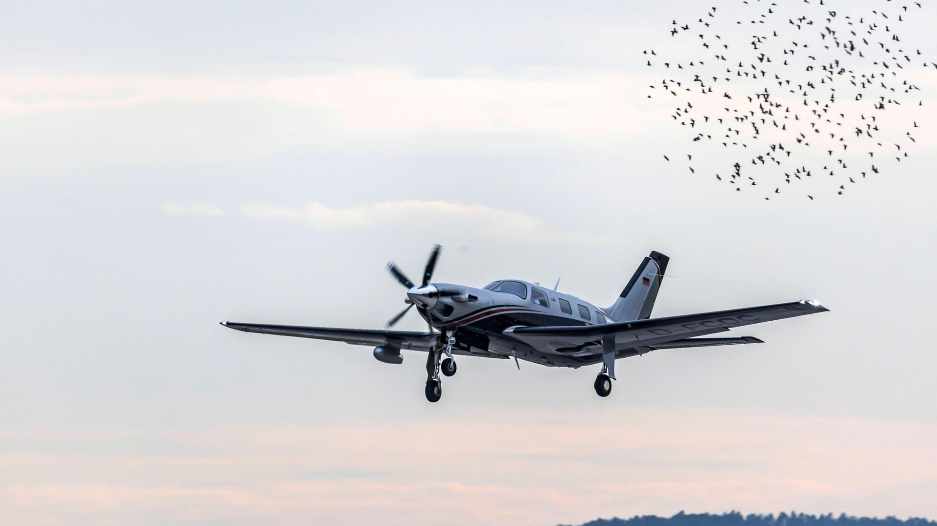 Piper Maschine: Ein ähnlicher Flugzeugtyp wie dieses stürzte in den USA in ein Wohnhaus. Drei Menschen starben.