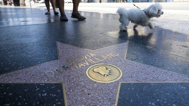 Schauspielerin Olivia de Havilland hat auf dem Hollywood Walk of Fame einen Stern.