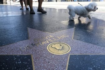 Schauspielerin Olivia de Havilland hat auf dem Hollywood Walk of Fame einen Stern.