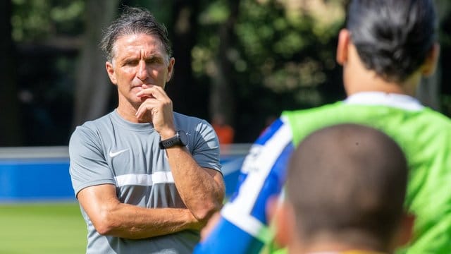 Hat mit Hertha das Training wieder aufgenommen: Coach Bruno Labbadia. Hat mit Hertha das Training wieder aufgenommen: Coach Bruno Labbadia.