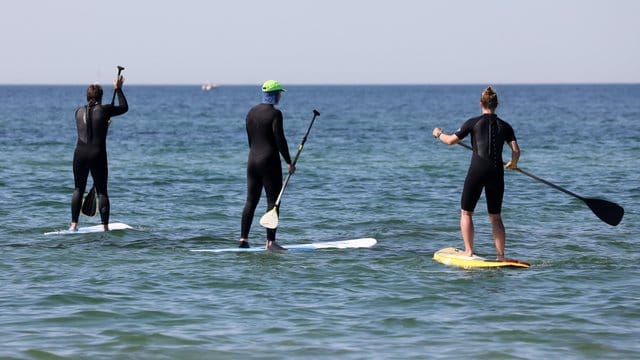 Stand-up-Paddler sind auf der Ostsee unterwegs.