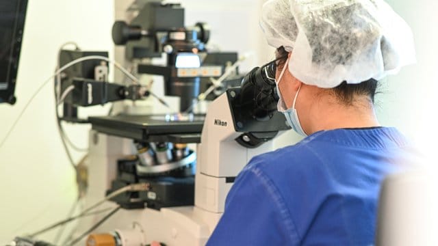 Frauen wollen immer häufiger das Kinderkriegen hinauszögern - und lassen ihre Eizellen einfrieren. Frauen wollen immer häufiger das Kinderkriegen hinauszögern - und lassen ihre Eizellen einfrieren.