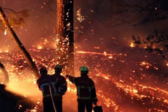 Feuerwehrleute im Chiberta-Wald im Südwesten Frankreichs.