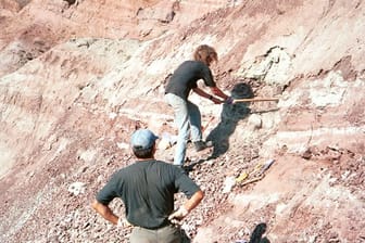 Forscherinnen und Forscher einer chinesisch-deutschen Expedition arbeiten im heutigen Junggar-Becken in der Provinz Xinjiang im Nordwesten Chinas.