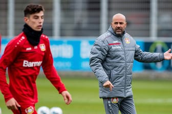 Peter Bosz im Training mit Kai Havertz (v.r.): Der Leverkusener Trainer weiß über die Pläne seines Top-Talents Bescheid.