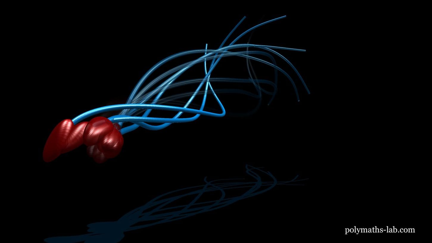 Spermien: Die Darstellung zeigt die räumliche Bewegungen eines Spermiums. Spermien: Die Darstellung zeigt die räumliche Bewegungen eines Spermiums.