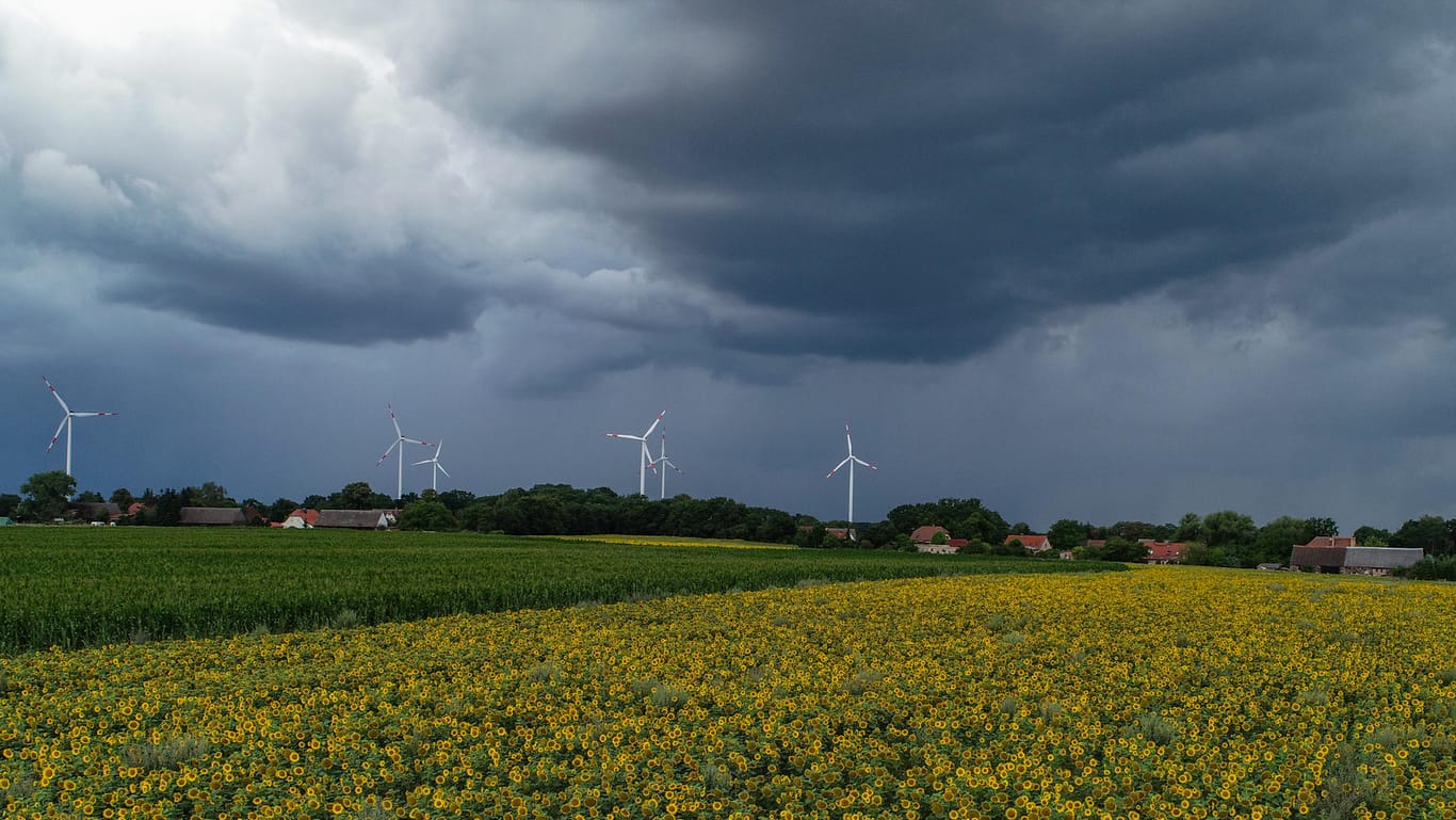 Gewitterwolken über Brandenburg: In weiten Teilen des Landes kann es zu heftigen Unwettern kommen.