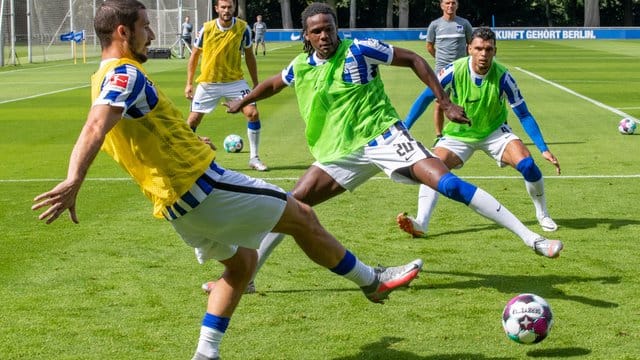 Dedryck Boyata (2. Dedryck Boyata (2.