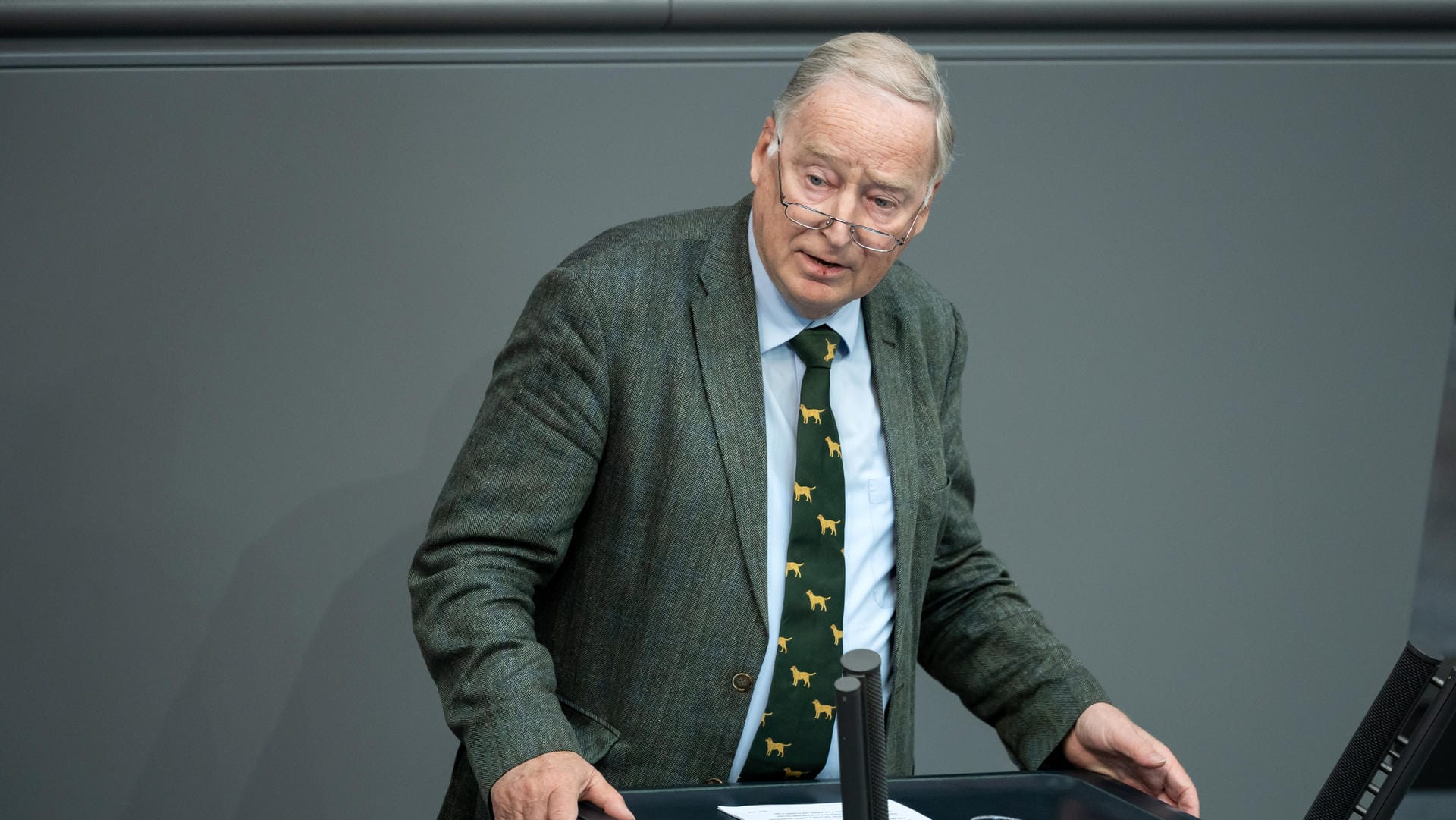 Alexander Gauland: Der AfD-Ehrenvorsitzende sorgt sich um die Partei.