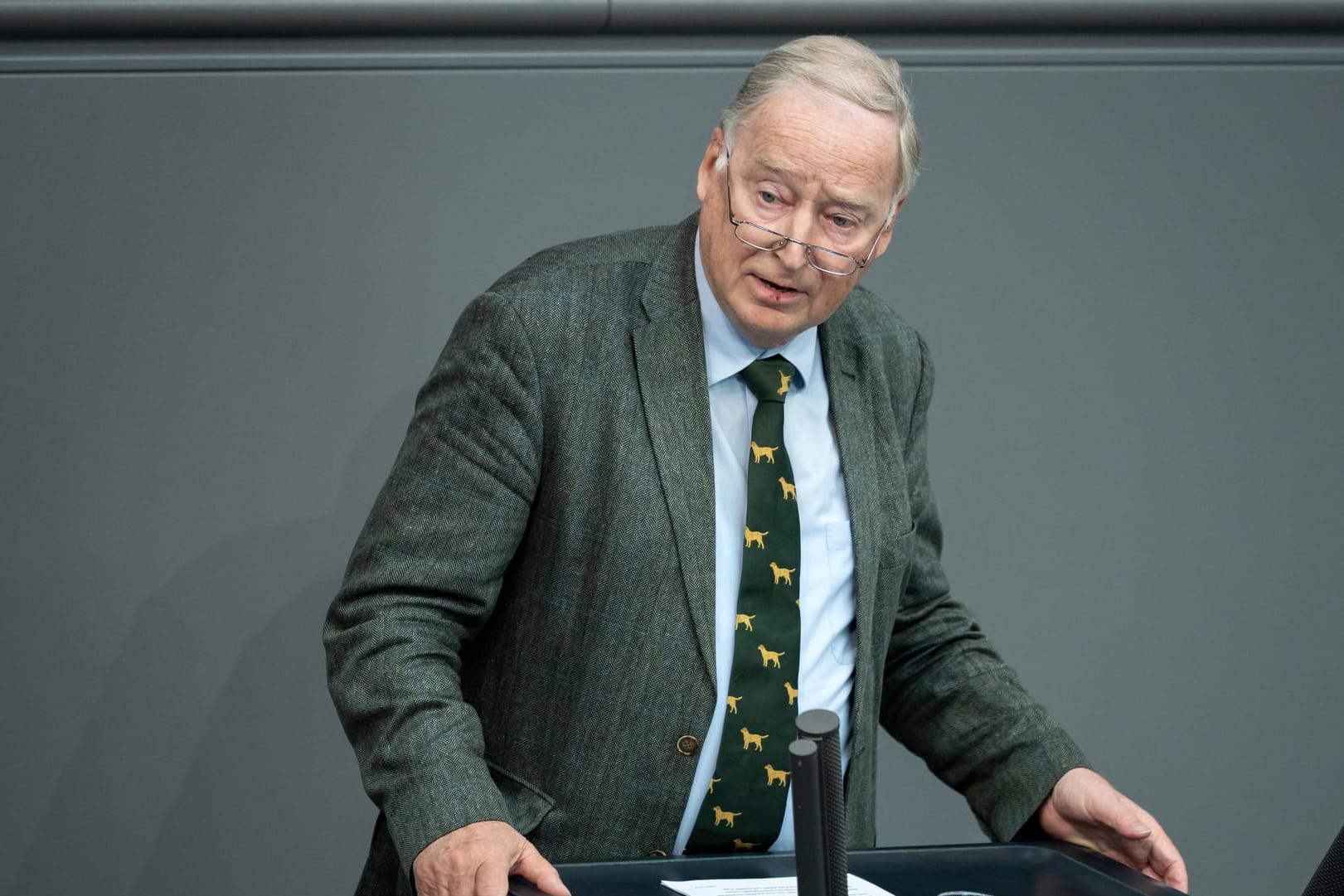 Alexander Gauland: Der AfD-Ehrenvorsitzende sorgt sich um die Partei.