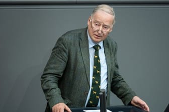 Alexander Gauland Anfang Juli bei einer Debatte im Bundestag.