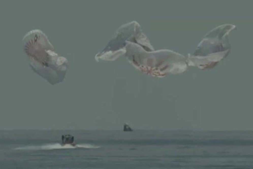 Videostandbild mit der Landung der SpaceX-Kapsel "Endeavour" im Golf von Mexiko.