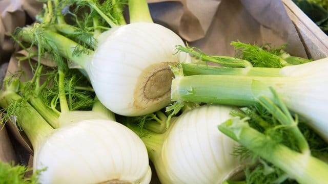 Roh oder gedünstet: Knollenfenchel ist vielseitig verwendbar.