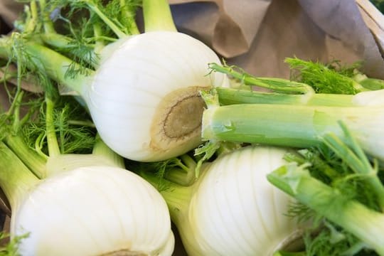 Roh oder gedünstet: Knollenfenchel ist vielseitig verwendbar.