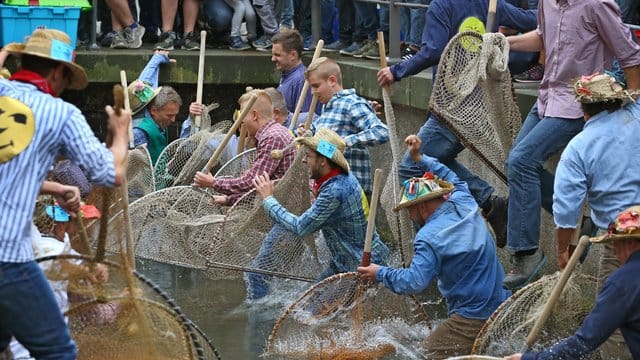 Teilnehmer des Fischertages springen mit ihren Keschern in den Stadtbach - allerdings sind Frauen nicht zugelassen. Teilnehmer des Fischertages springen mit ihren Keschern in den Stadtbach - allerdings sind Frauen nicht zugelassen.