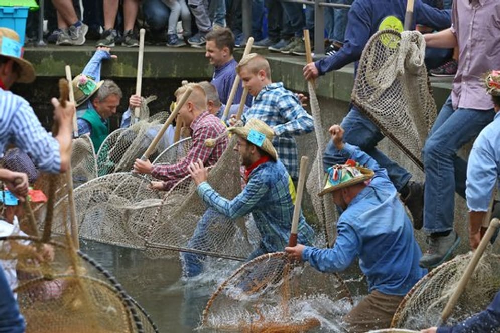 Teilnehmer des Fischertages springen mit ihren Keschern in den Stadtbach - allerdings sind Frauen nicht zugelassen.