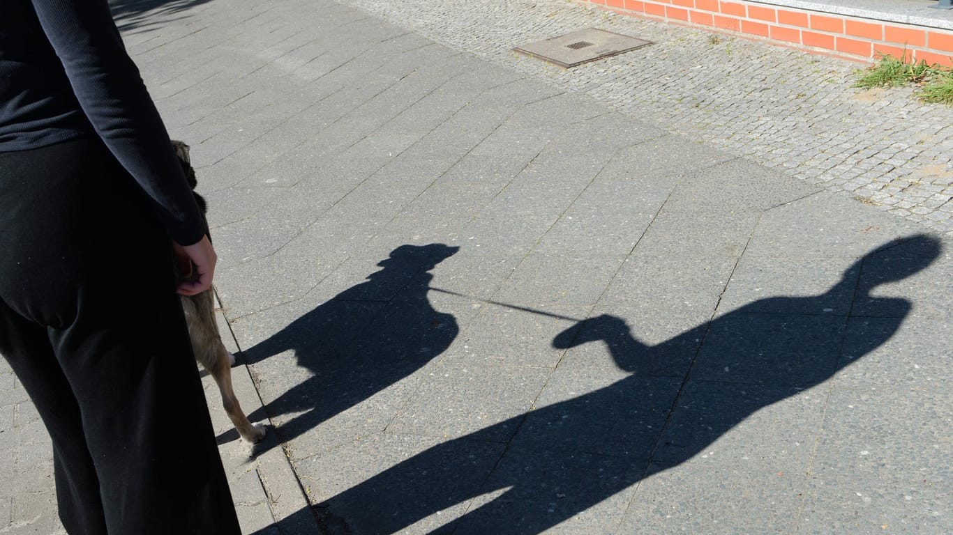 Der Schatten einer Frau und ihres Hundes (Symbolbild): In Hamburg ist eine Zweijährige von einem Mischlingshund in den Kopf gebissen worden.