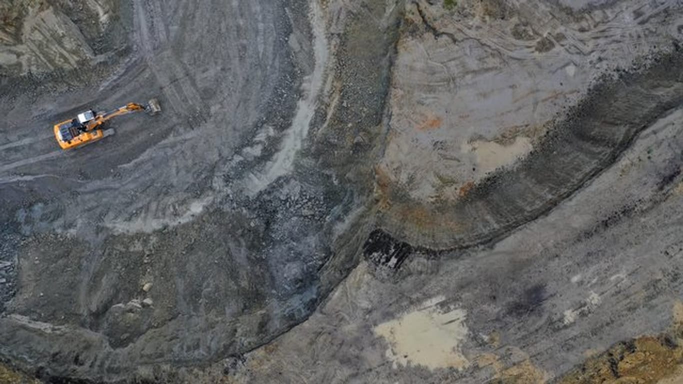 Forscher entdecken einen Millionen von Jahren alten Riesenkranich-Schädel in einer Grabungsstätte im Allgäu.