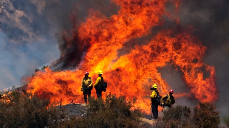 Kalifornien: Feuerwehrleute sind bei einem Waldbrand, dem sogenannten "Apple Fire", im Einsatz.