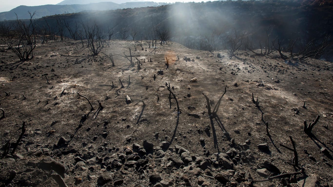 Im kalifornischen Cherry Valley sind die Spuren des Feuers schon deutlich sichtbar.