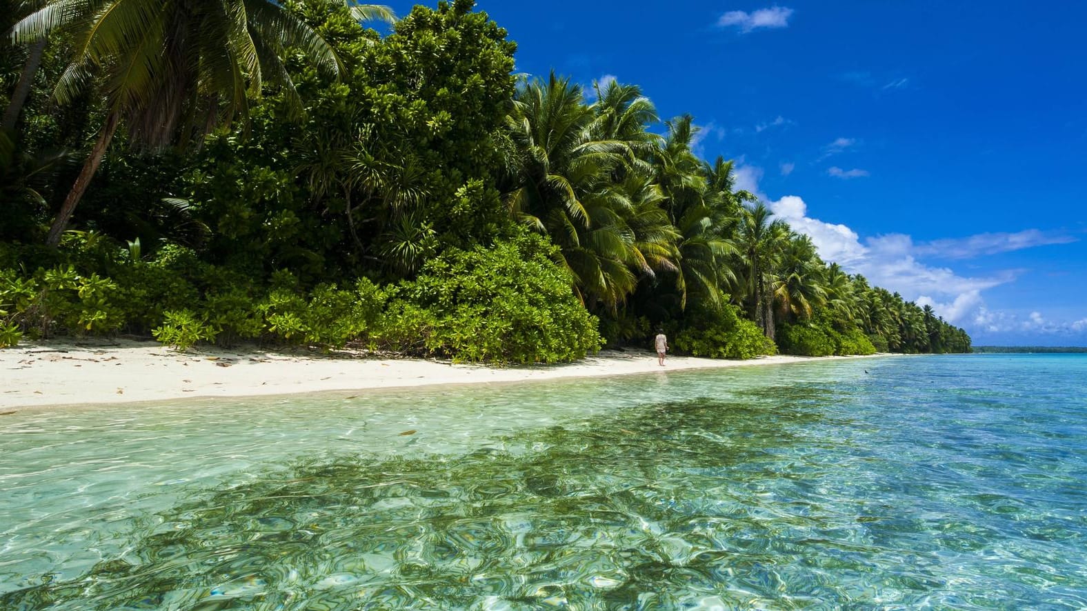 Ein mikronesisches Atoll: Drei Männer sind auf einer einsamen Pazifikinsel gestrandet. (Symbolfoto)