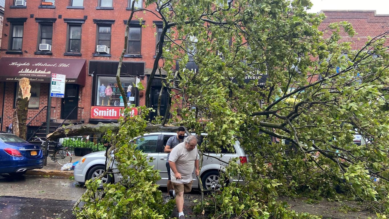 Umgestürzte Bäume in New York: "Isaias" ist über die Ostküste der USA gefegt.