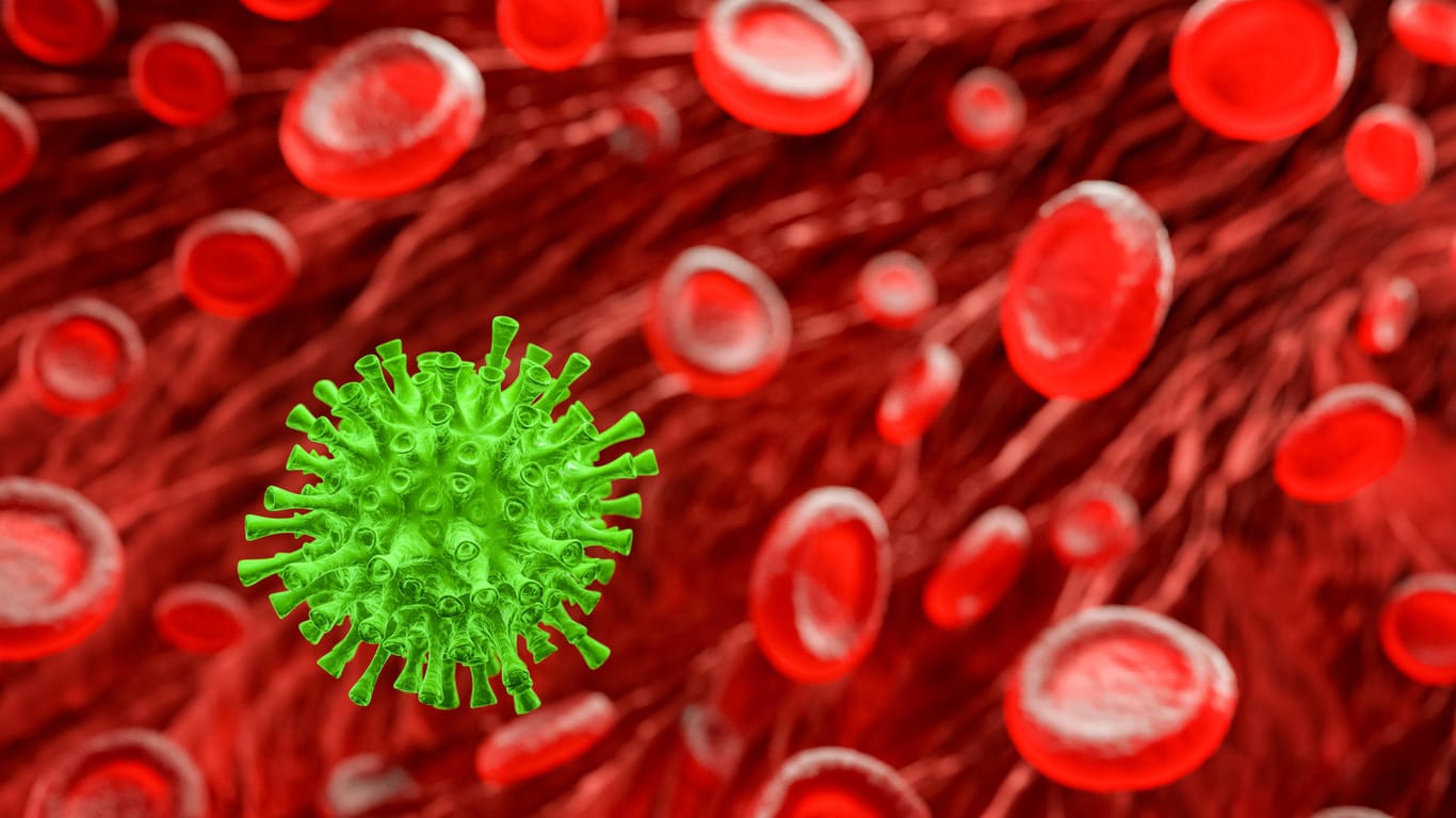 SARS-CoV-2-Erreger und Blutzellen: Das Coronavirus kann Blutgefäße schädigen.