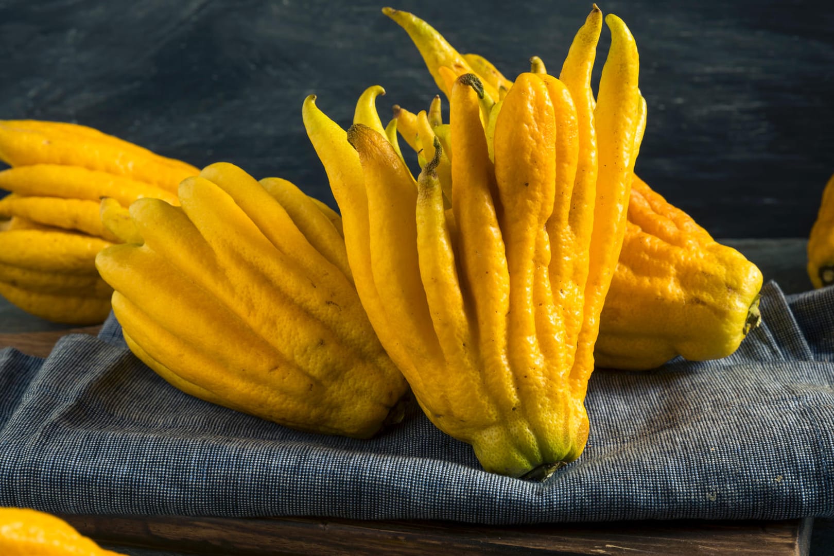 Buddhas Hand: Die Zitronensorte ist recht ungewöhnlich geformt. Ihre Verästelungen sehen aus wie lange Finger.