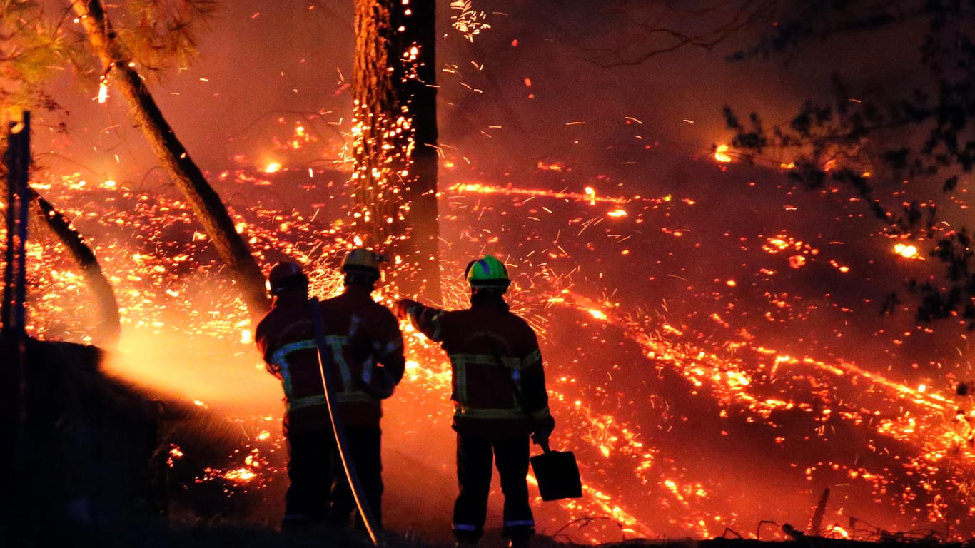 Feuersbrunst: Brände wie dieser im Chiberta-Wald hielten den Südwesten Frankreichs in Atem.