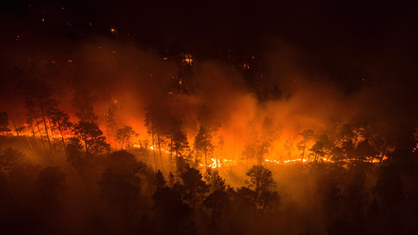 Hitzewelle in Sibirien: Das von Greenpeace Russland veröffentlichte Foto zeigt einen Waldbrand in der Region Krasnojarsk.