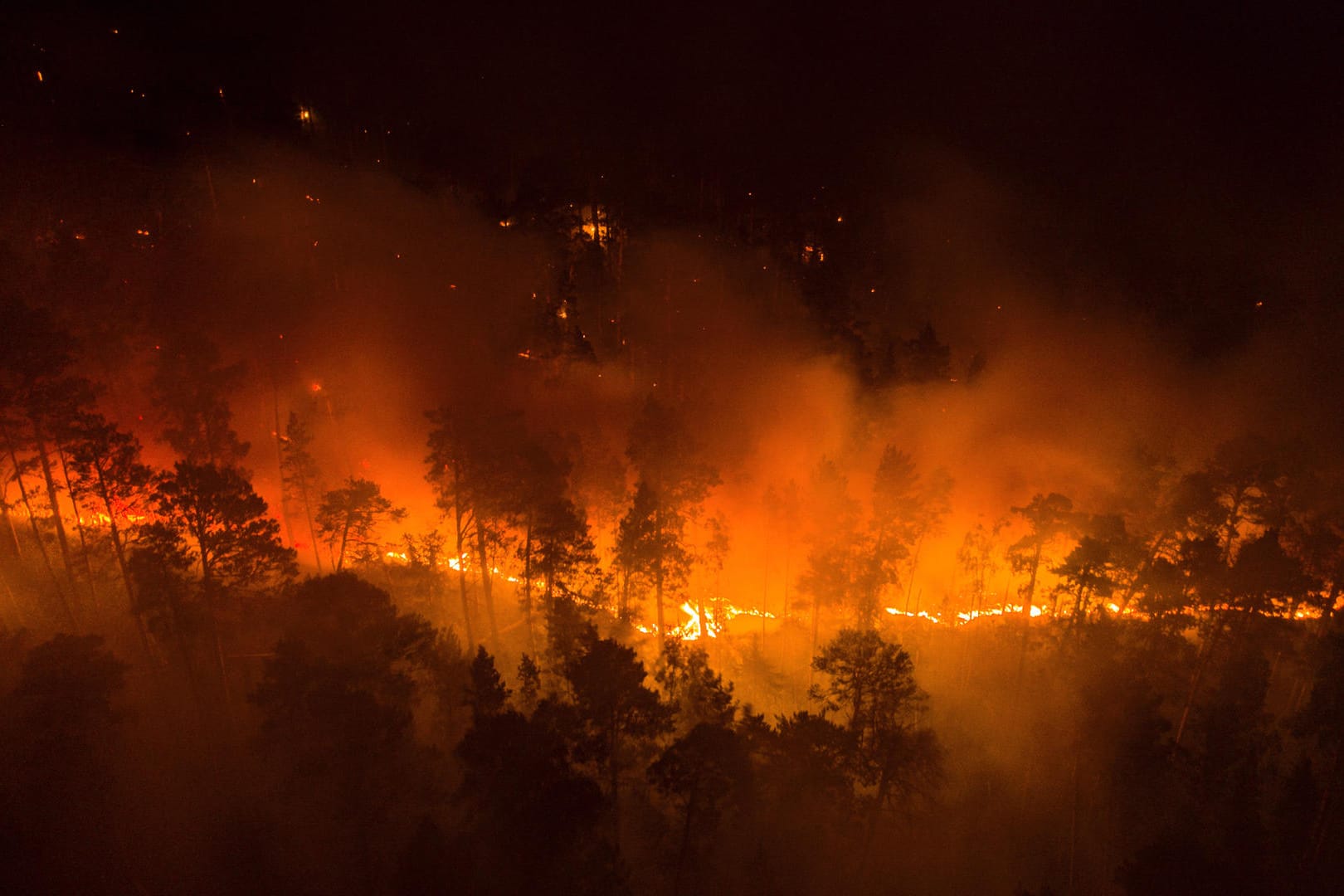 Hitzewelle in Sibirien: Das von Greenpeace Russland veröffentlichte Foto zeigt einen Waldbrand in der Region Krasnojarsk.