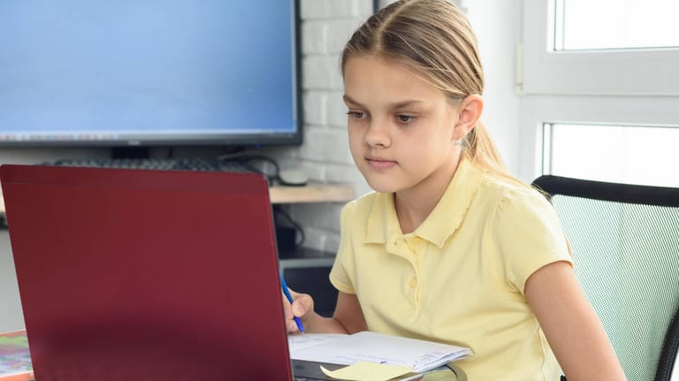 Ein Mädchen am Computer: Das Jobcenter muss Schülern den PC bezahlen.