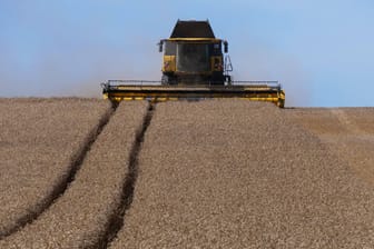 Weizen wird geerntet: Wenn die Treibhausgasemissionen nicht reduziert werden, drohen häufigere Dürren.