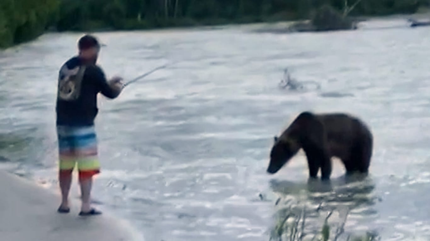 Duell um die Beute: Dieser Angler muss plötzlich mit einem Braunbären um seinen Fang kämpfen.