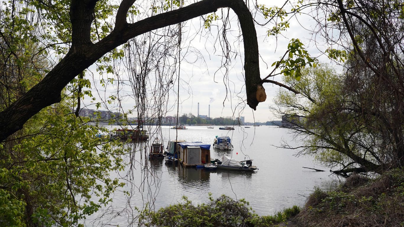 Rummelsburger Bucht (Symbolbild): Ein 15-jähriges Mädchen ist hier auf einer Grünfläche tot gefunden worden.