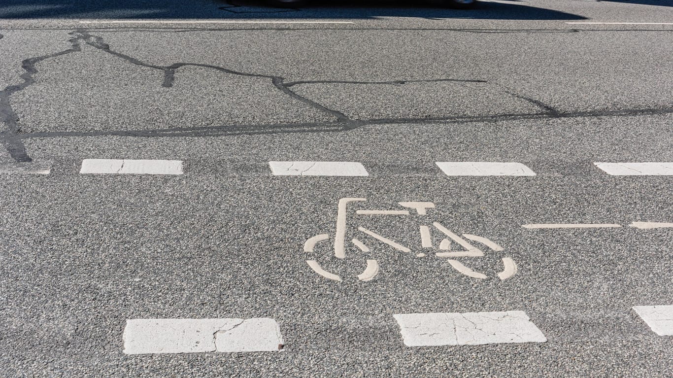 Ein Fahrradweg (Symbolbild): In Wolfsburg ist ein 80-Jähriger schwer mit dem Fahrrad gestürzt.