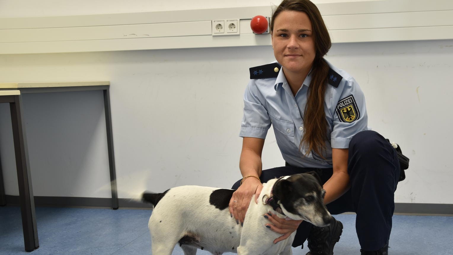 Eine Beamtin der Bundespolizei hält einen weiß-schwarz gefleckten Hund fest: Er hat sich ohne Begleitung mit der Regionalbahn auf den Weg in die Großstadt Nürnberg gemacht hatte. Eine Beamtin der Bundespolizei hält einen weiß-schwarz gefleckten Hund fest: Er hat sich ohne Begleitung mit der Regionalbahn auf den Weg in die Großstadt Nürnberg gemacht hatte.