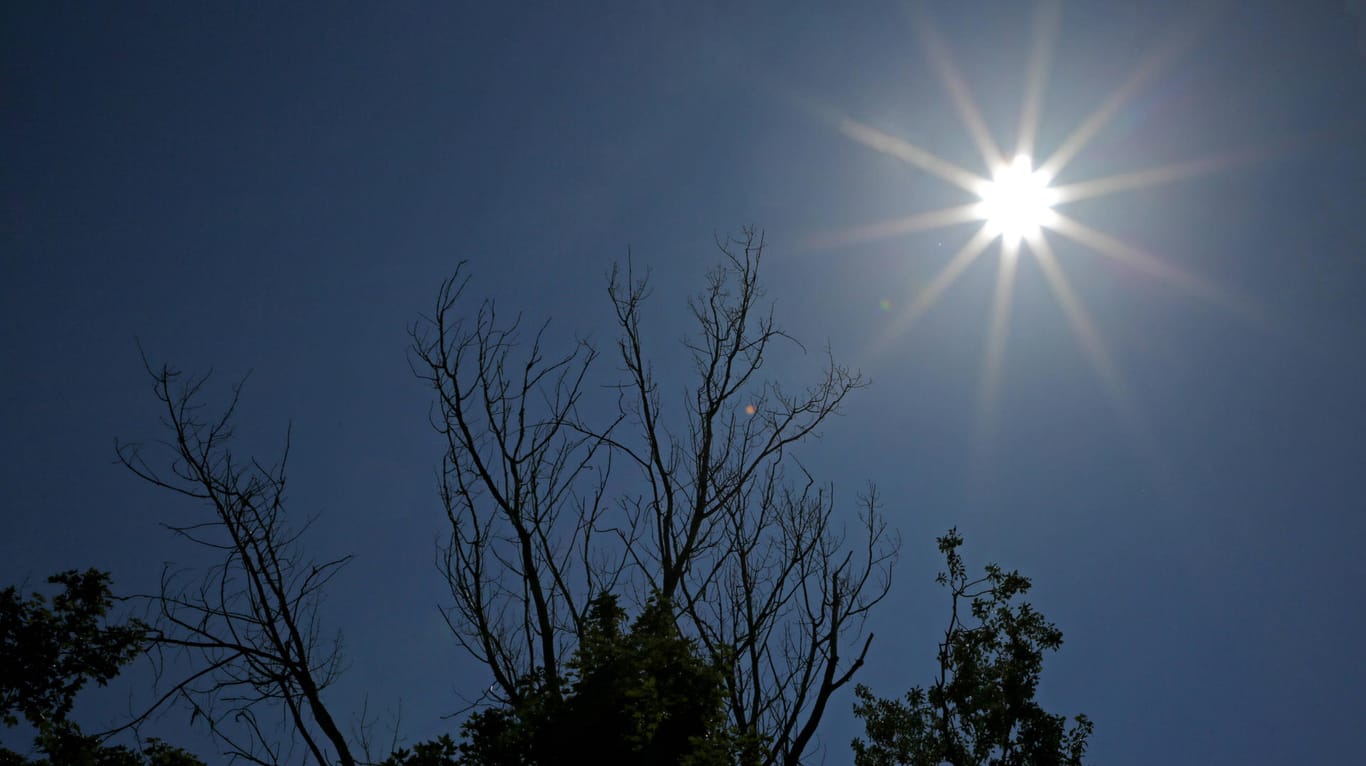 Sommerhitze mit gleißendem Sonnenlicht (Symbolbild): In Karlsruhe leiden die Bäume unter der großen Trockenheit.