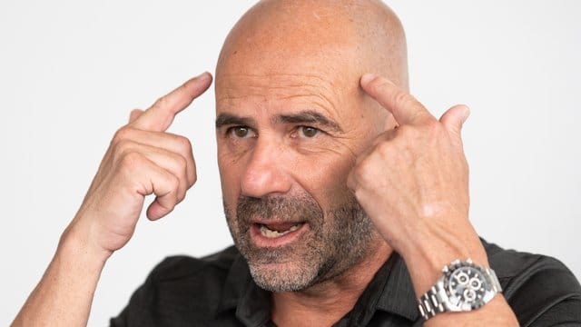 Leverkusens Trainer Peter Bosz ist sich sicher: "Kai ist konzentriert".